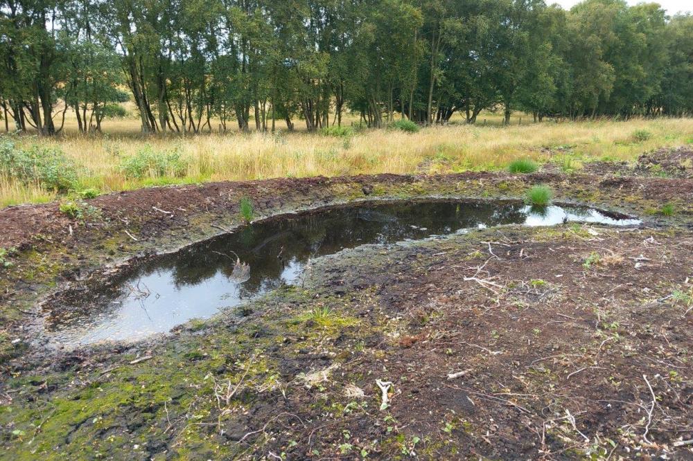 Peatland ACTION Case Study - Bankhead Moss - Image 2 of 3 showing  horseshoe-shaped cell bunds during the different stages of the restoration process.