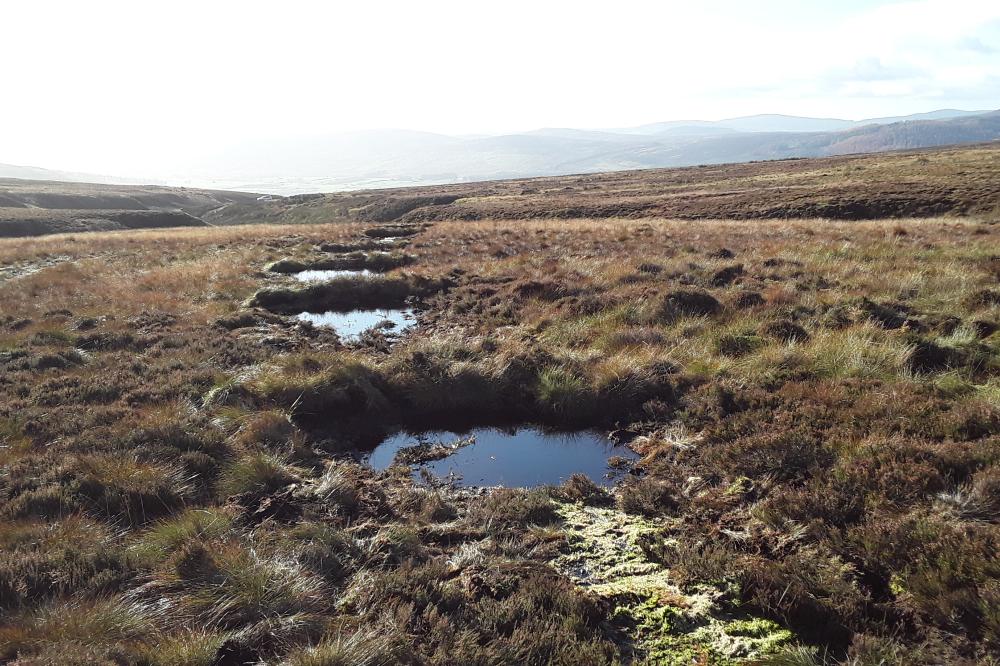 Peatland landscape after drain re-profiling showing new pools forming behind the peat dams and raising the water table to help rewet the peatland.