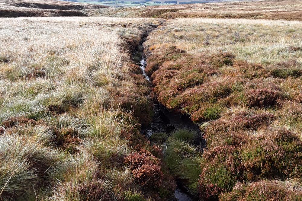Looking up a peatland drain before combined blocking and re-profiling