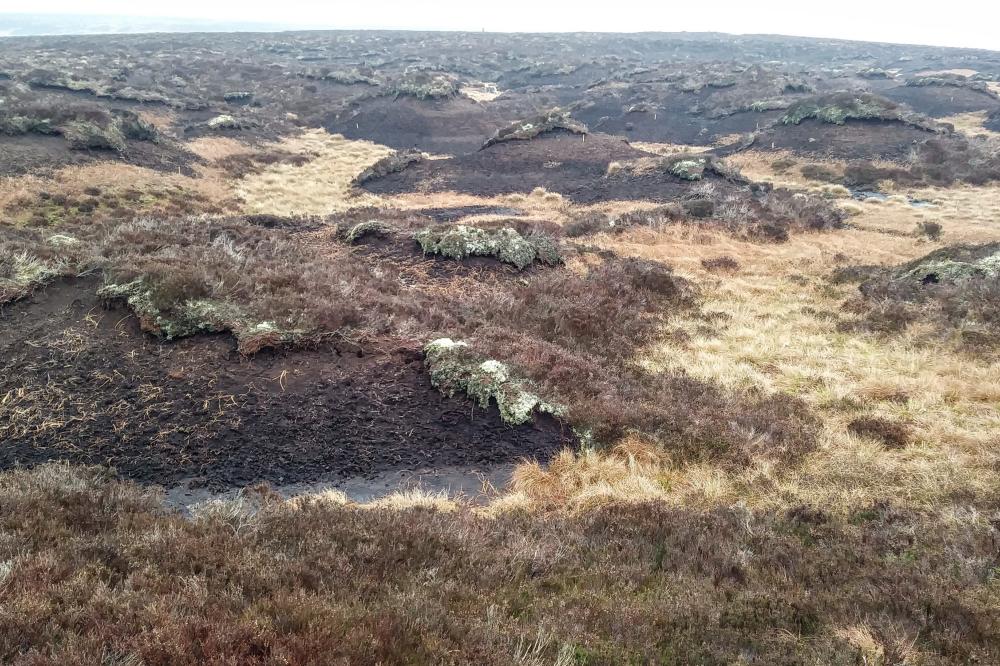 Areas of hummocky bare peat at Tardoes Farm before restoration.