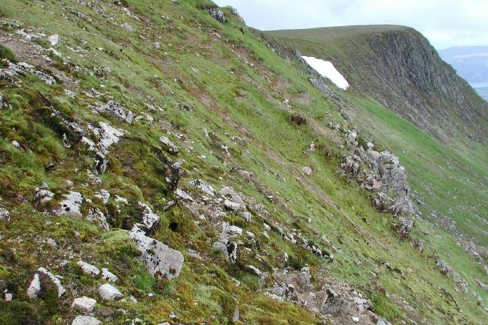 Photograph providing an example of Montane snowbed (NVC U11).