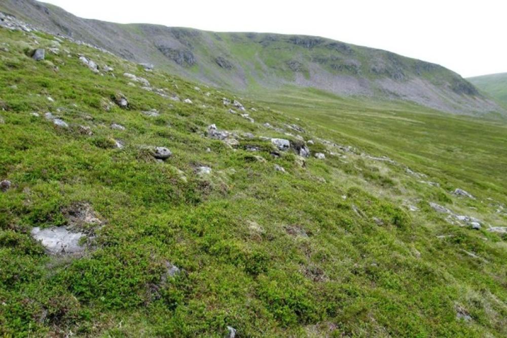 Photograph providing an example of Montane Vaccinium-Empetrum heath (NVC H20).