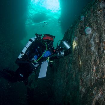 A diver studying marine life in a sea cave in Loch Eriboll. Photographer, Richard Shucksmith. © SNH. All rights reserved. Please contact CMEU for details - snhmarinephotos@nature.scot