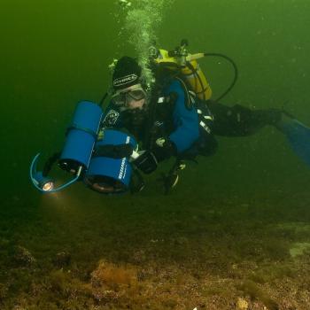 Survey diver on a maerl bed ©CMEU/SNH snhmarinephotos@snh.gov.uk.  For information on reproduction rights contact the Scottish Natural Heritage Image Library on Tel. 01738 444177 or www.nature.scot