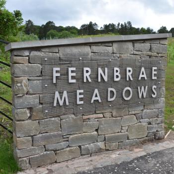 Fernbrae Meadow, GI site visit
