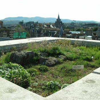 Green Roof Garden, National Museum of Scotland