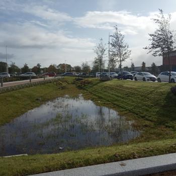 SUDS at Carstairs