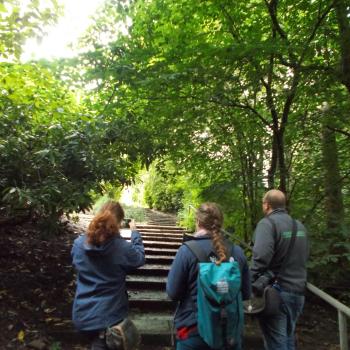 Group look up at a staircase on a woodland path.