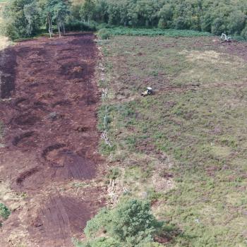 The horseshoe-shaped cell bunds take shape. ©Rory Sandison/Scottish Wildlife Trust