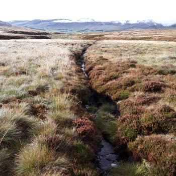Looking up a peatland drain before combined blocking and re-profiling