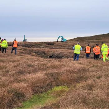 Peatland ACTION - Gallery - Events