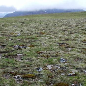 Photograph providing an example of Montane summit heath (NVC U10).