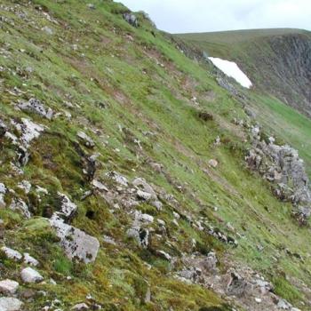 Photograph providing an example of Montane snowbed (NVC U11).