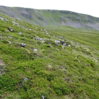 Photograph providing an example of Montane Vaccinium-Empetrum heath (NVC H20).