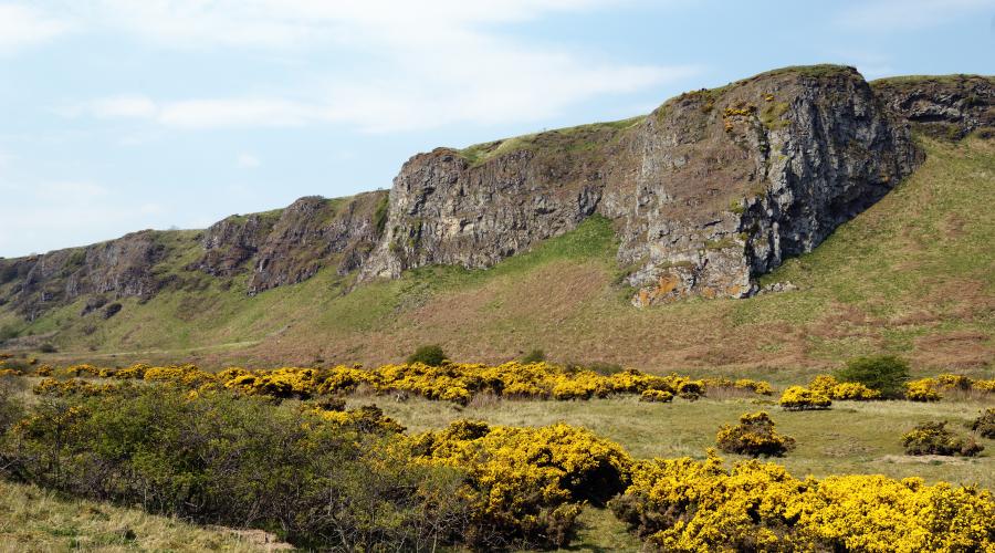 St Cyrus NNR. Grampian Area.