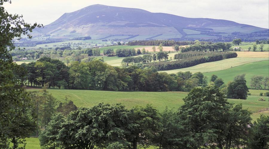A landscape of fields, hedges and trees with the Culter Hills in the background.