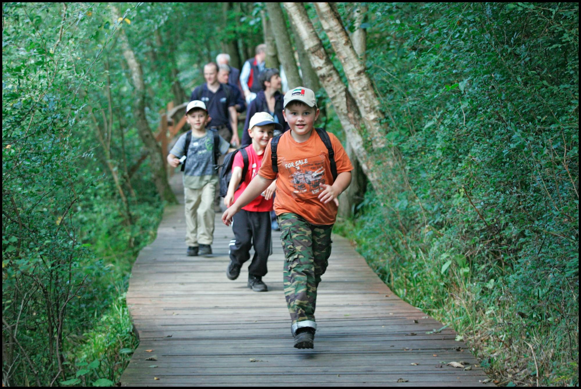 Children running over wooden walkway in forest. 