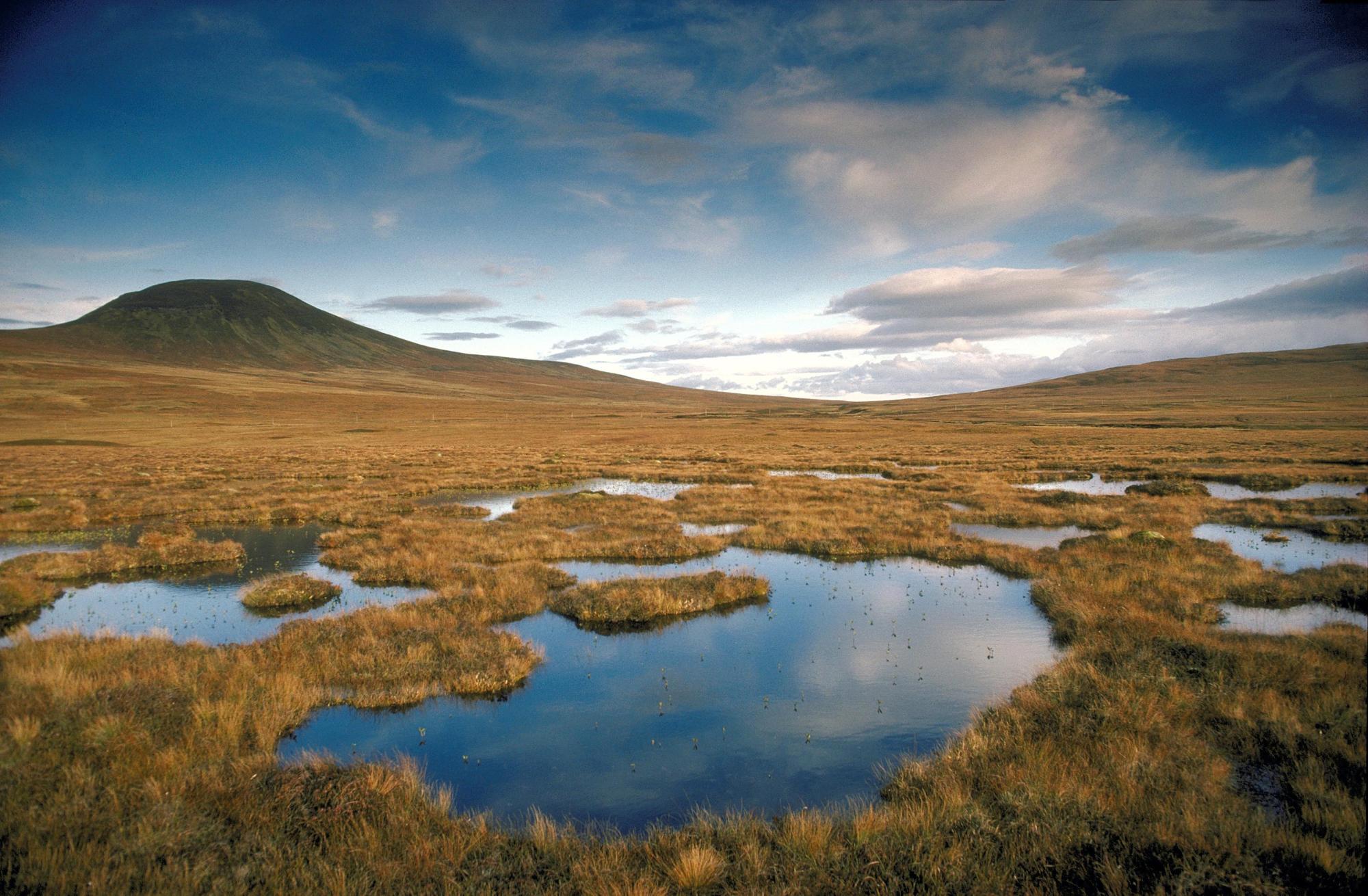Area of blanket bog with mountains in the background