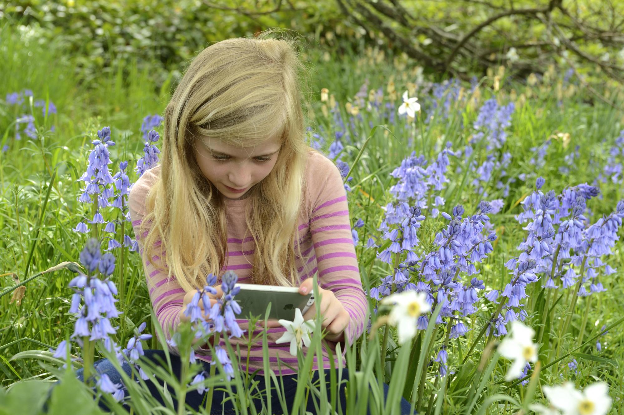 Girl photographing bluebells flowers