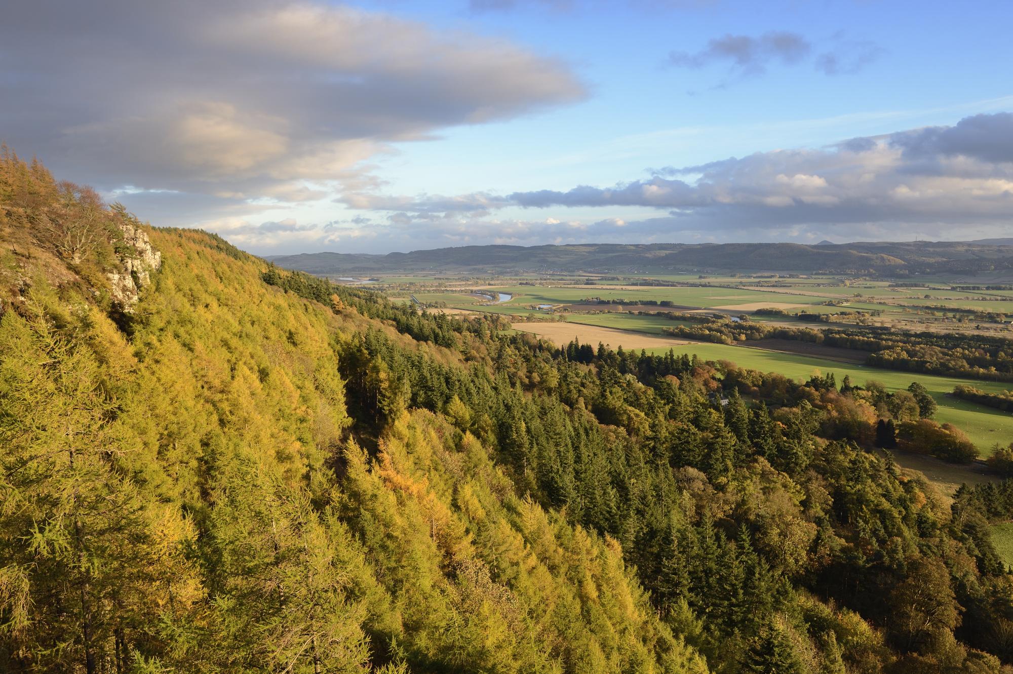 View over Moncrieff Woodland Park and Bridge of Earn from Moncrieff Hill showing trees and fields
