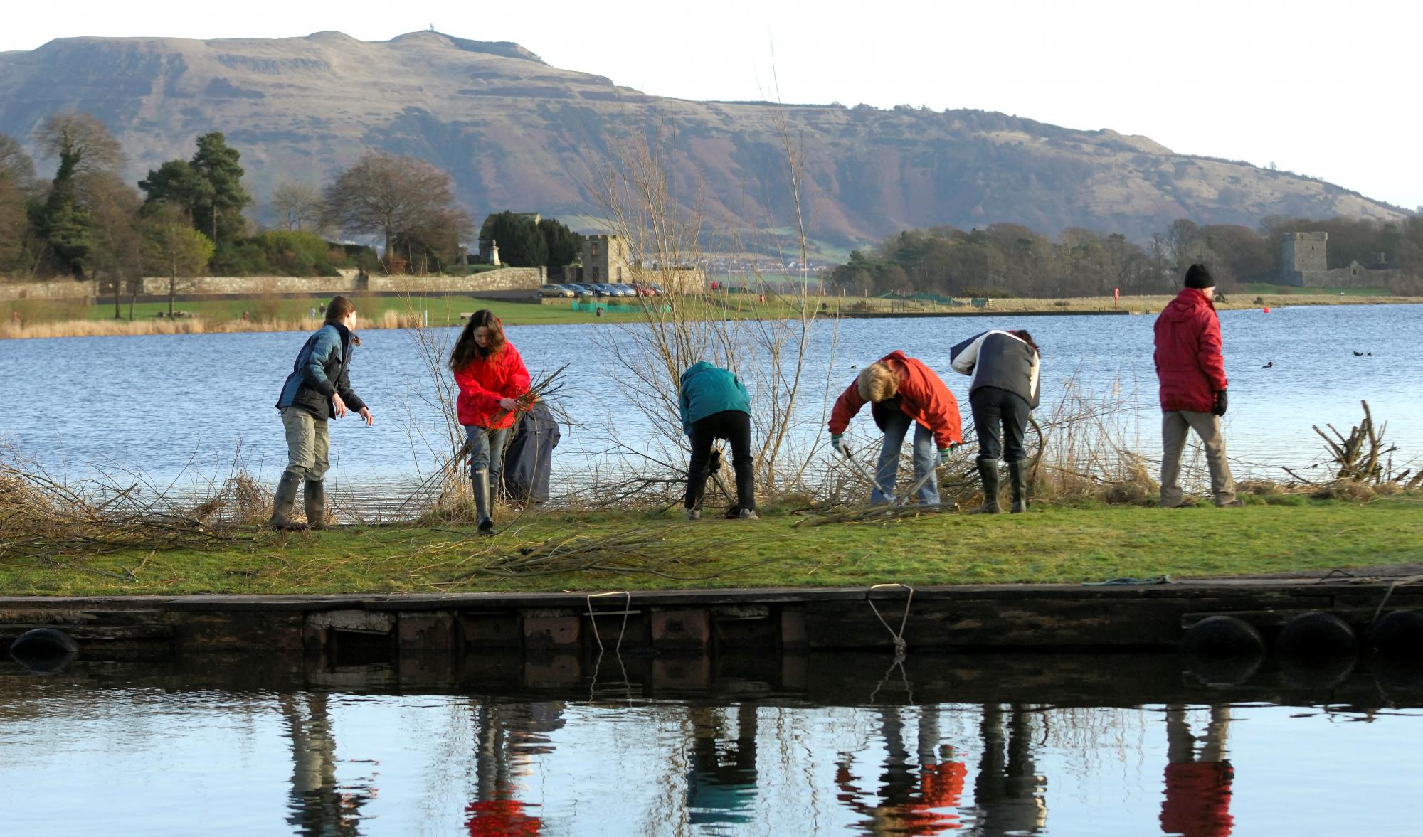 Volunteers clearing willow scrub at Loch Leven NNR, Tayside and Clackmannanshire Area
