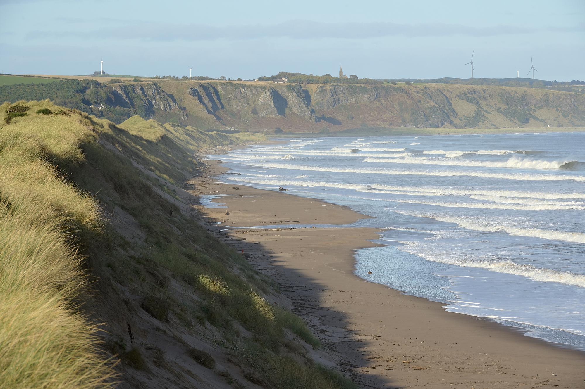 Coastal dune erosion signage at Montrose
