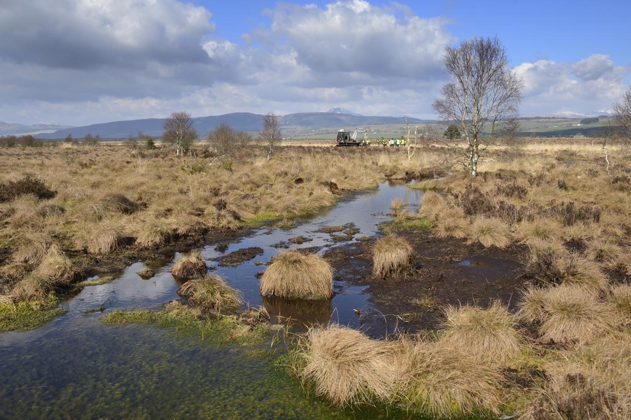 Restoring Scotland's Peatlands | NatureScot