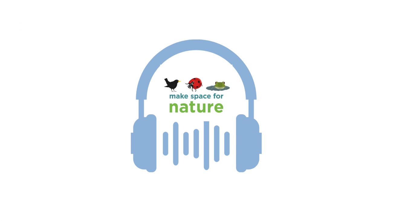 Regn matrix melodisk Podcasts | NatureScot