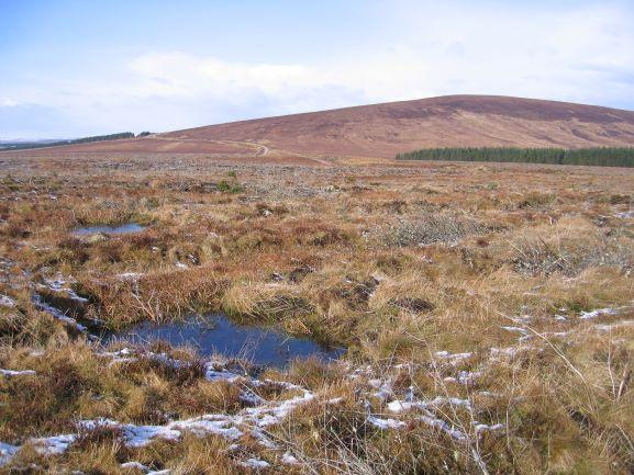Community Session for Caithness and Sutherland Peatlands Set to Open up