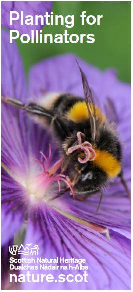 Planting for Pollinators leaflet - front cover