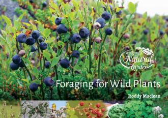 Front cover of Foraging for Wild Plants