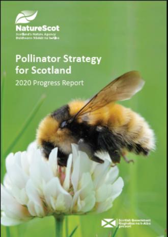 Pollinator Strategy - front cover