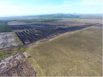 Aerial photograp of Golticlay showing the clear line where the forest-to-bog reatoration area prevented the speard of the fire damage.