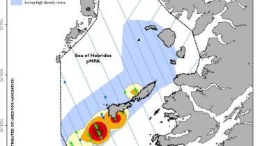 Basking sharks - Map 