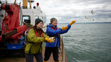 Oysters being thrown into the water off a fishing boat by two volunteers