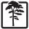 pine icon