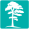 Pine tree - Turquoise - icon