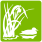 Reeds and duck - Green icon